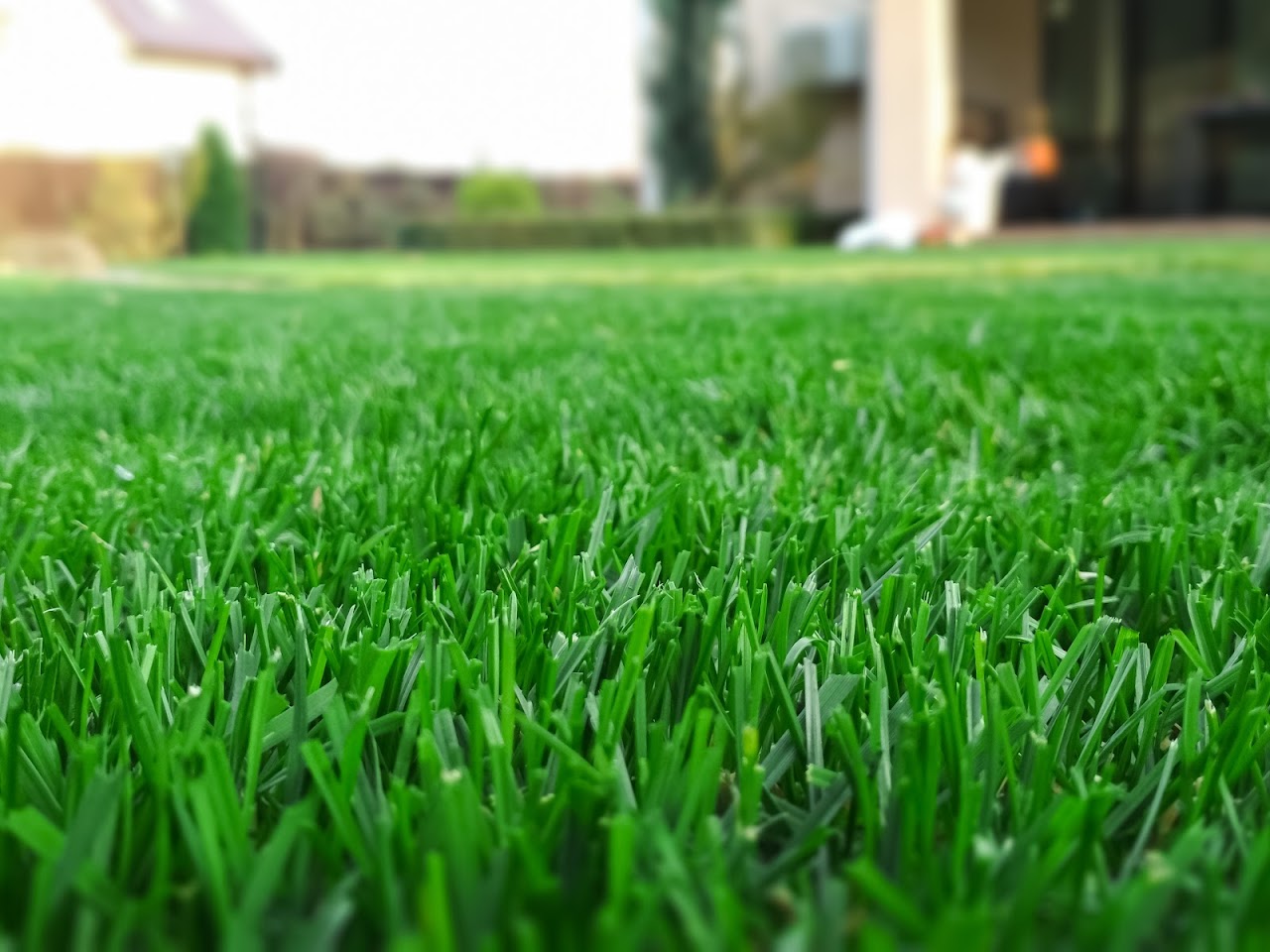 Divine Green Landscaping project