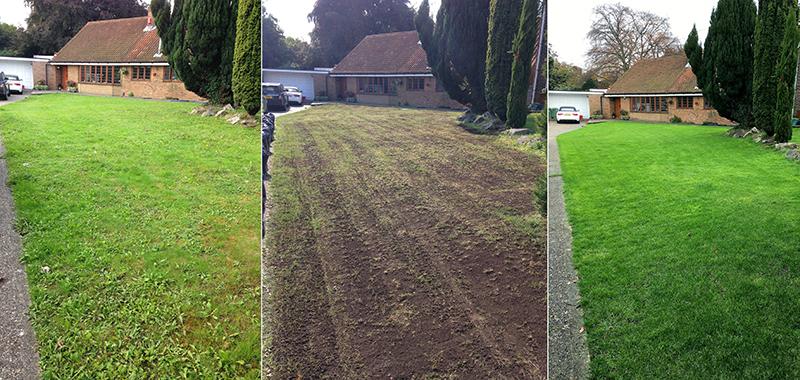 Divine Green Landscaping project